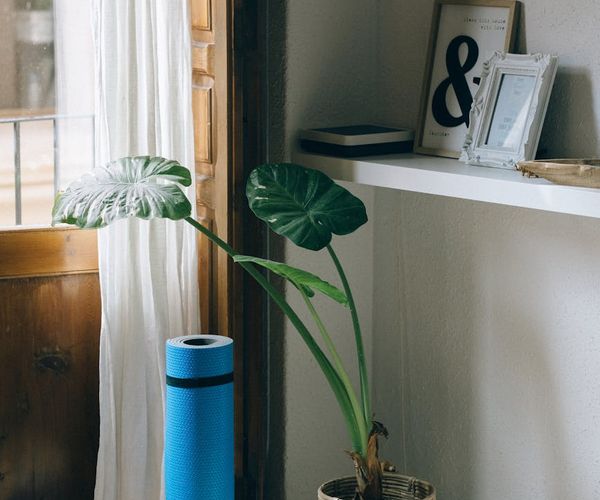 A calm, minimalist yoga studio space with natural light and plants.